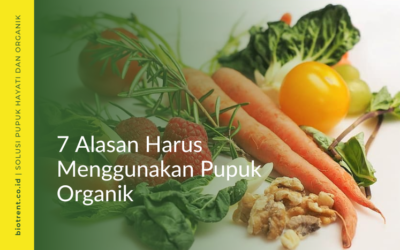 Sumber foto: pikist.com