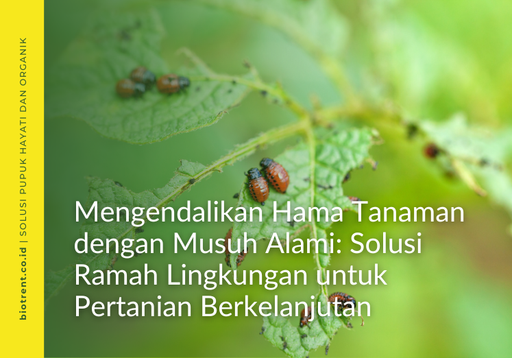 musuh alami
