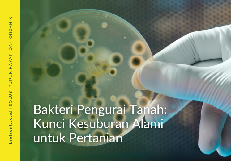 bakteri pengurai tanah