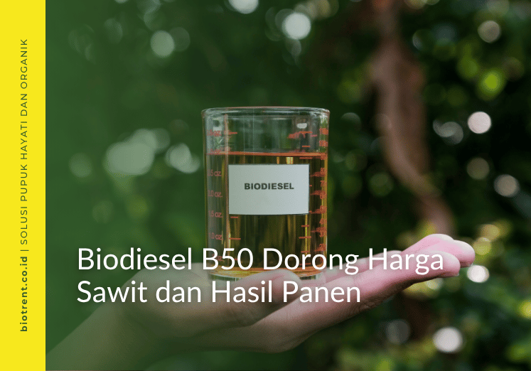 biodiesel B50