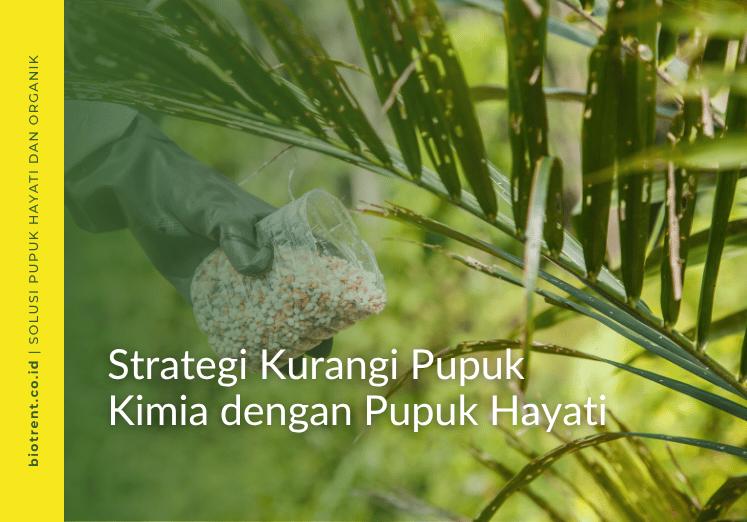pengurangan pupuk kimia