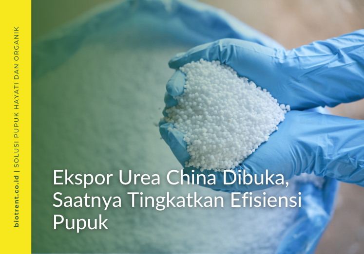 ekspor urea