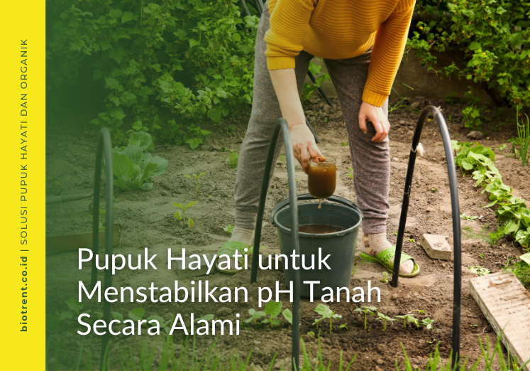 pupuk hayati pH tanah