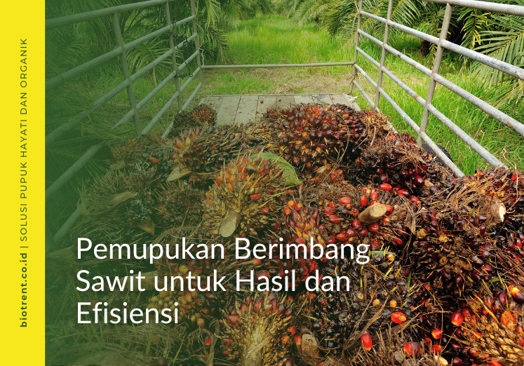 pemupukan berimbang
