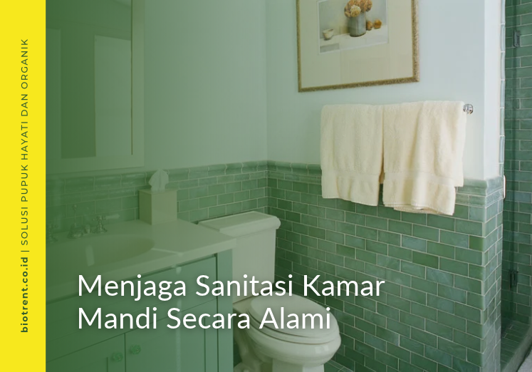 sanitasi kamar mandi