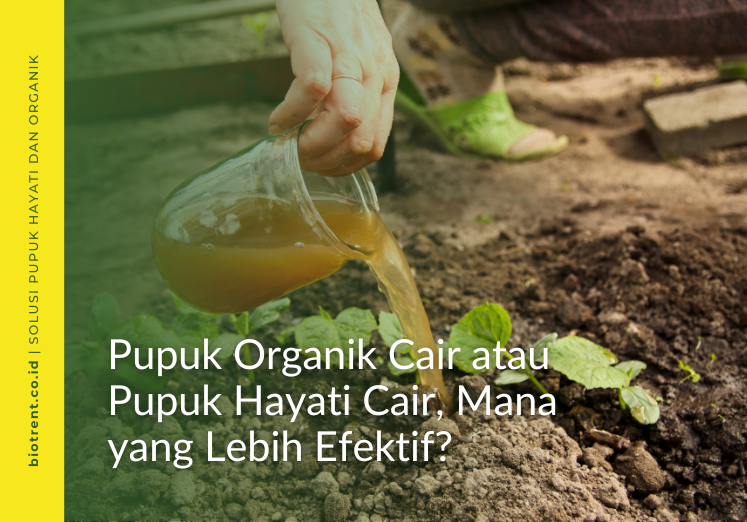 pupuk organik cair