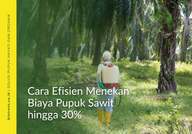 pupuk sawit